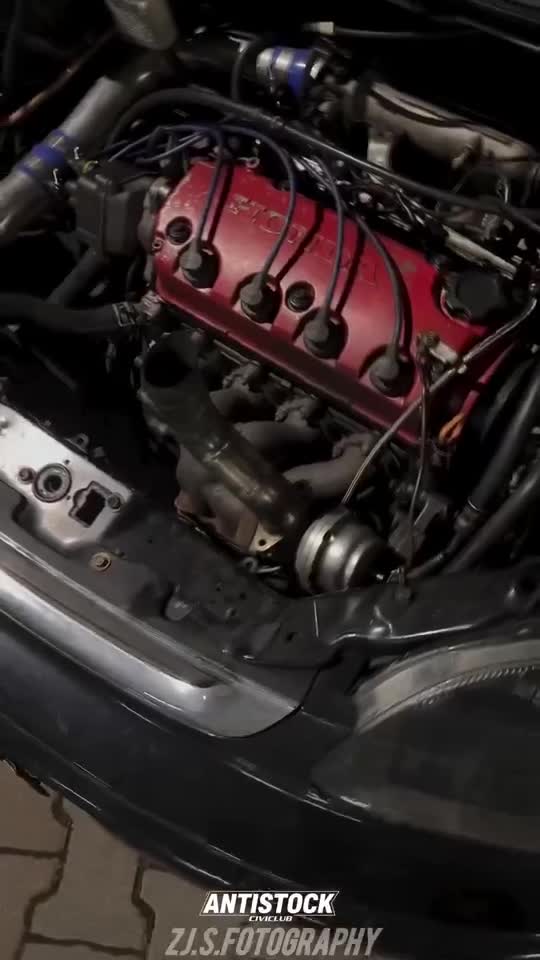 Reveal motore
